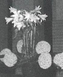 Maundy Thursday