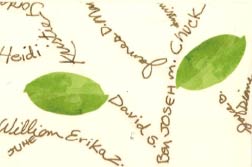 Family Tree