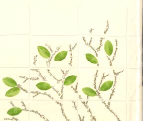Family Tree