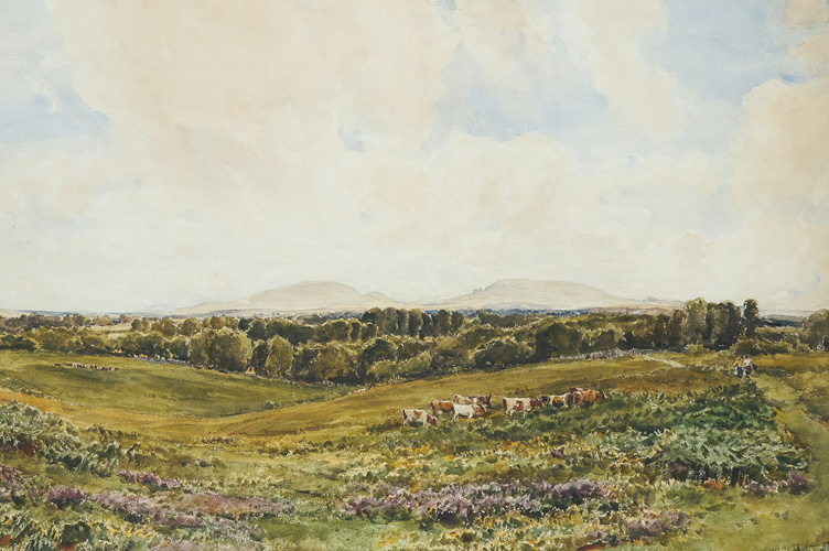 Beautiful pasture painting