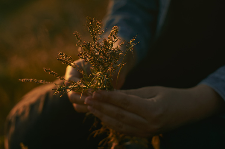 Hands holding a bundle of flowers