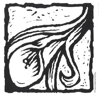 Tim Foley for Reformed Worship