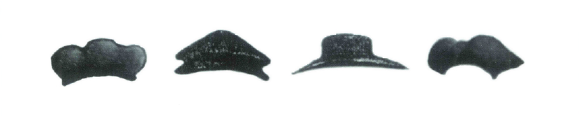Black hats