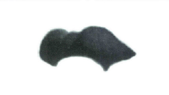 Wesley Hat