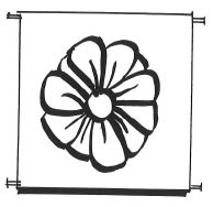 Second Sunday of Advent