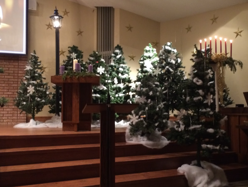 Trees in front of sanctuary