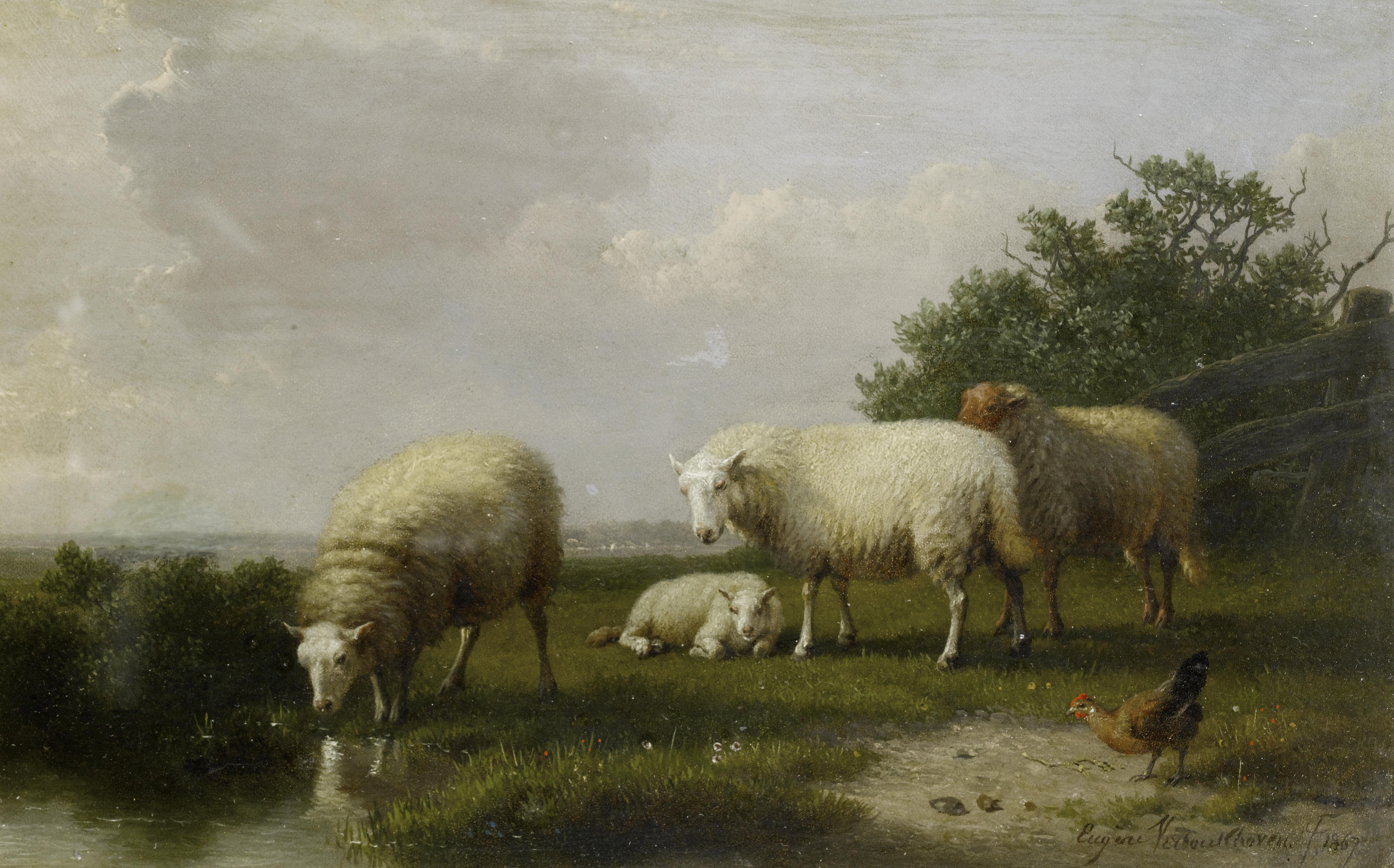Sheep_grazing_on_a_riverbank