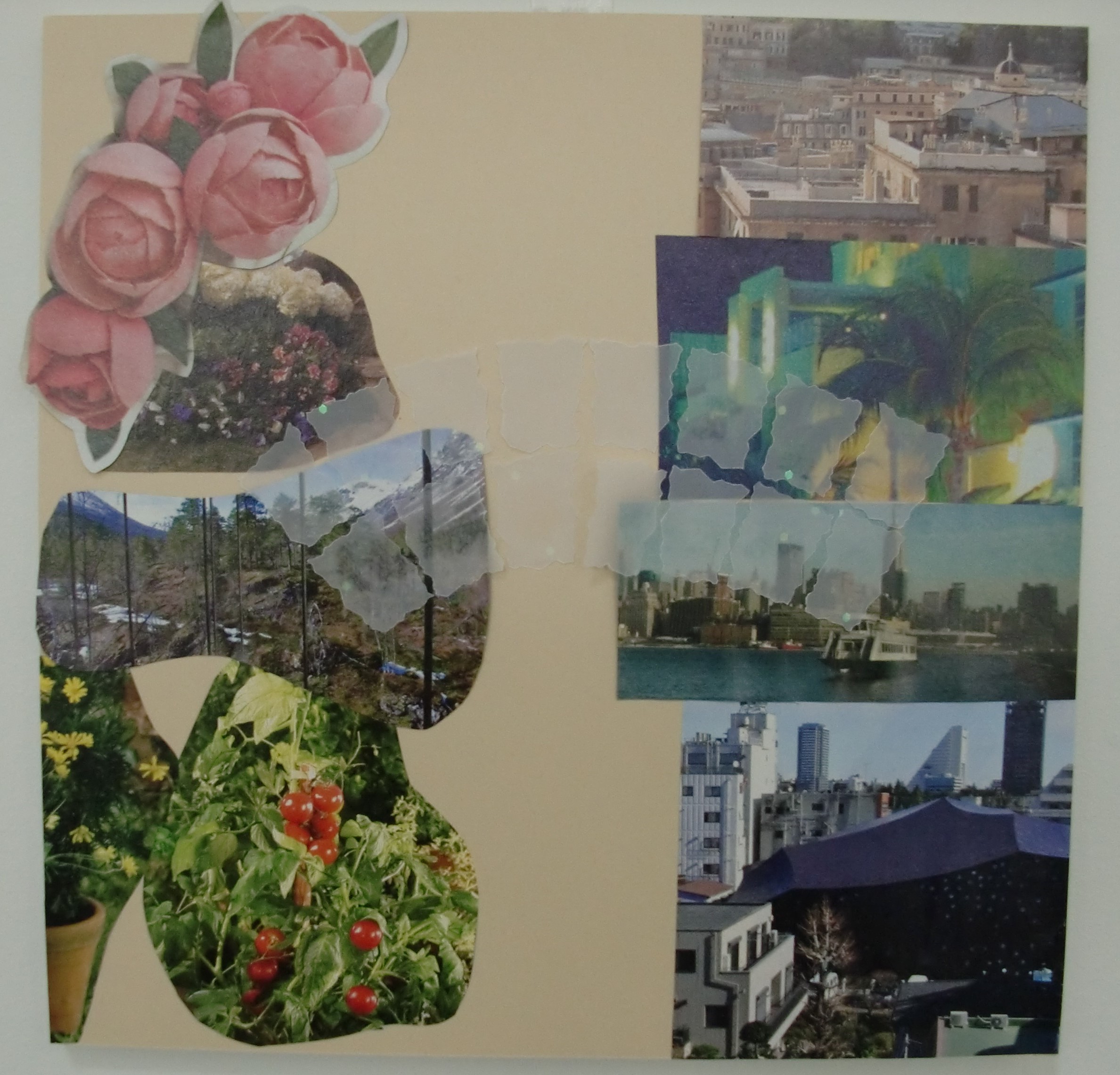 Visualizing Hope 16