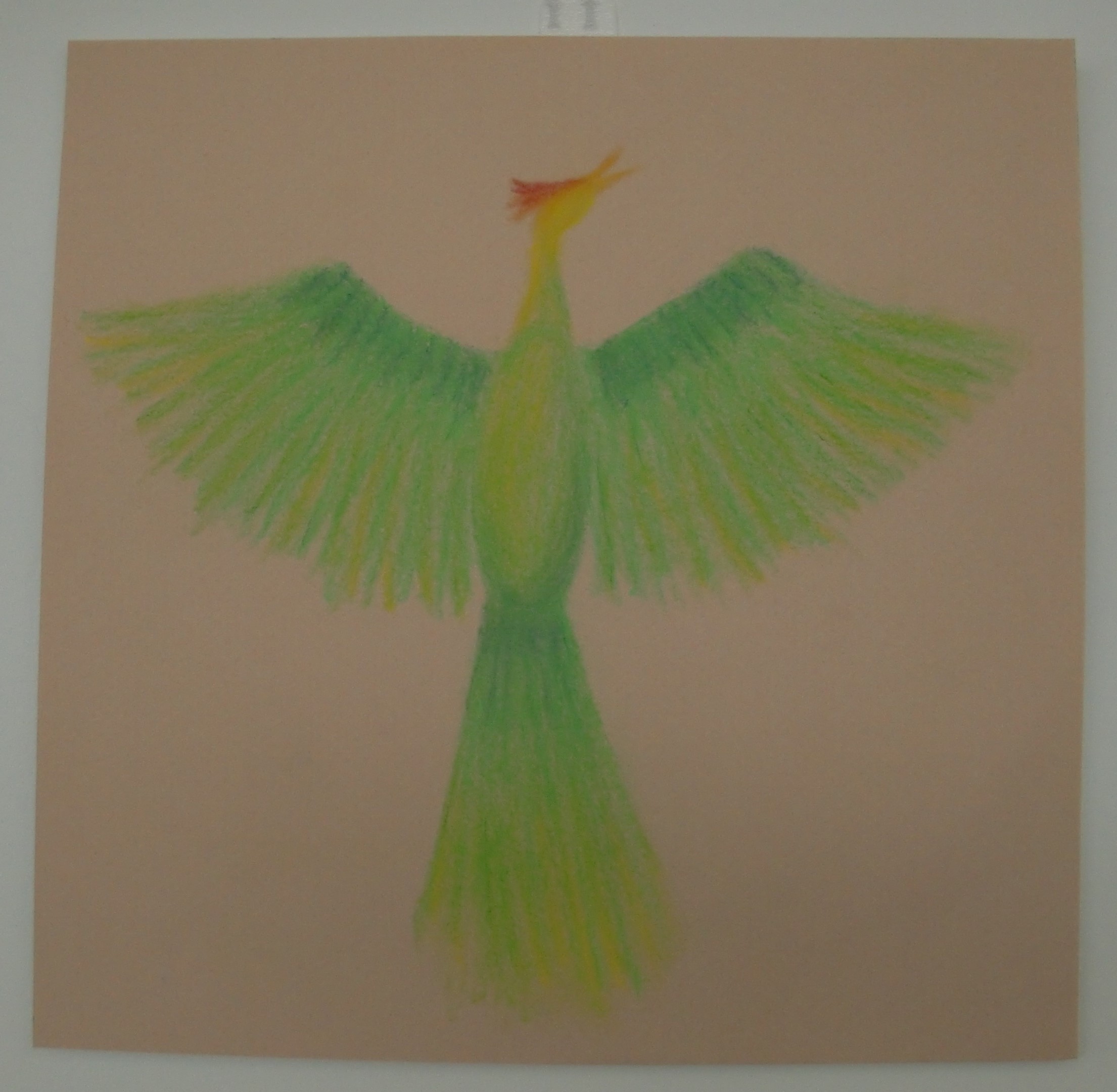 Visualizing Hope 4