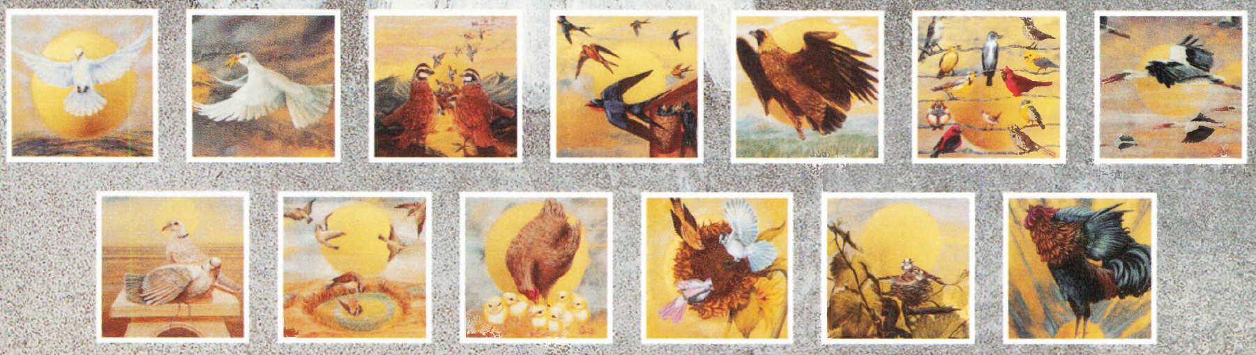 Boeve Aviary