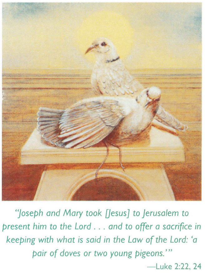 Boeve Pair of Doves