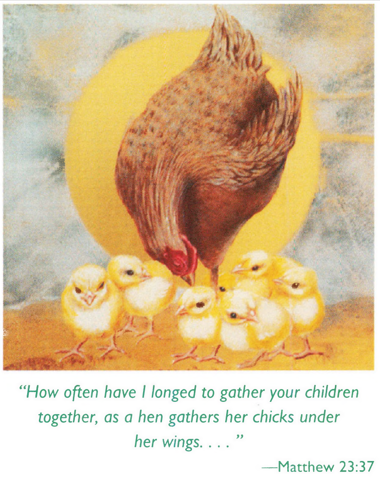 Boeve Hen