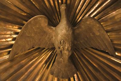 gold-colored metal ornemental dove