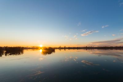 DykgraafCreationImage