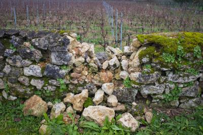 Rock wall, crumbling in the middle with vineyard in background