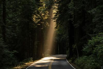 Sunlight on road