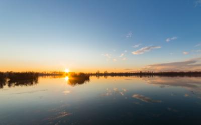 DykgraafCreationImage