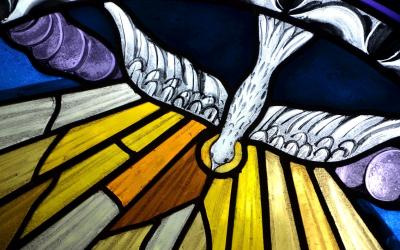 Stained glass with dove