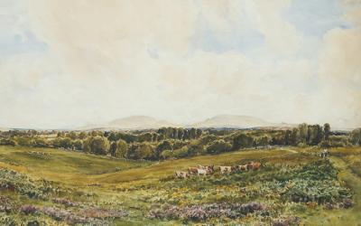 Beautiful pasture painting