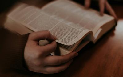Person holding open Bible