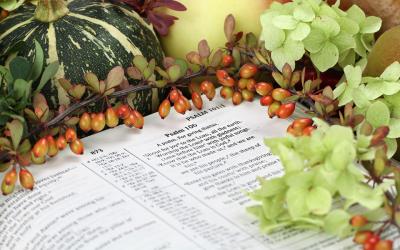 Psalm 100 open bible