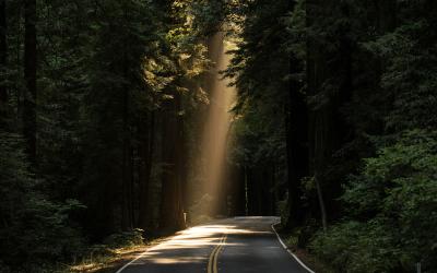 Sunlight on road