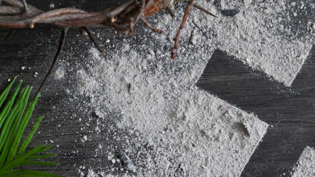Ash Wednesday