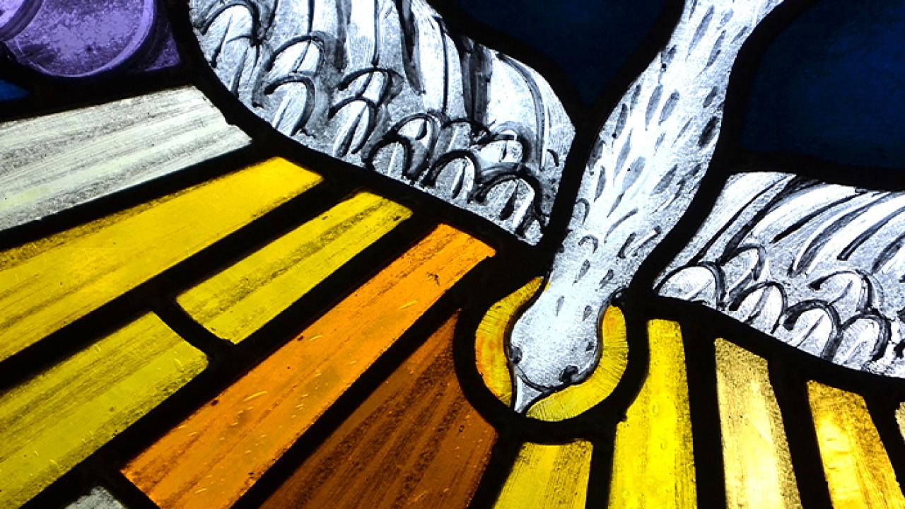 Pentecost dove