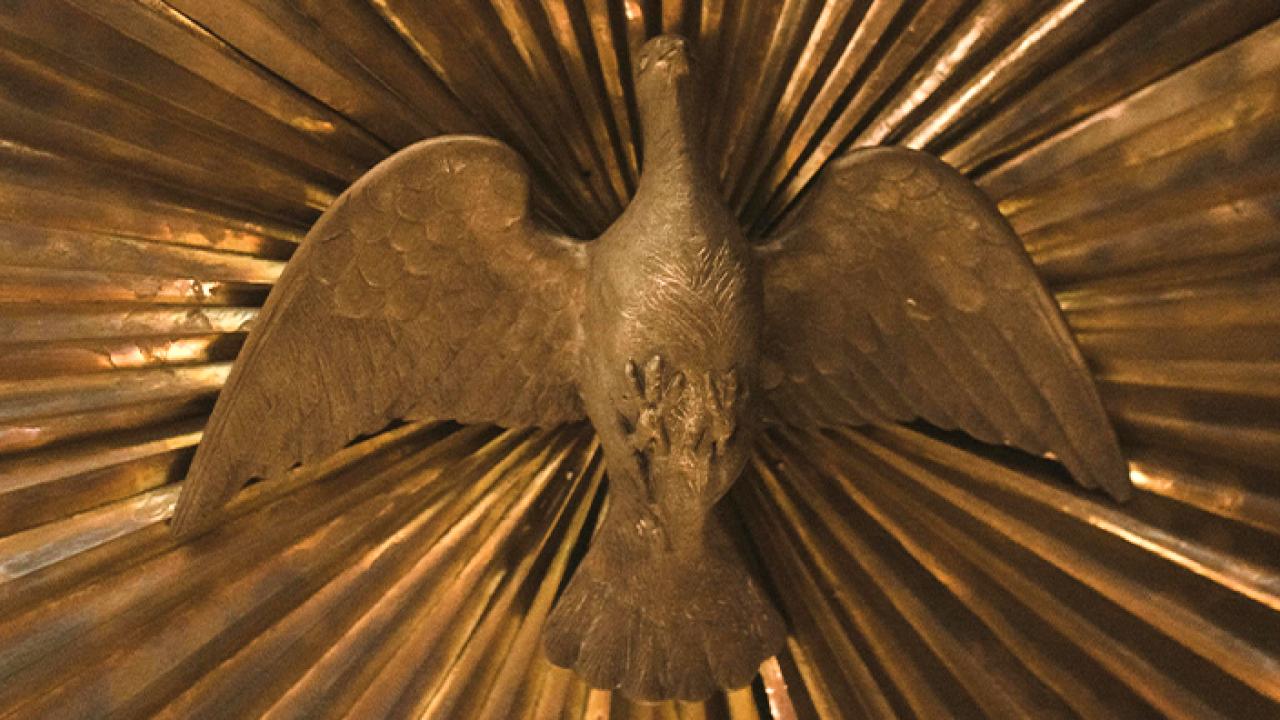 gold-colored metal ornemental dove
