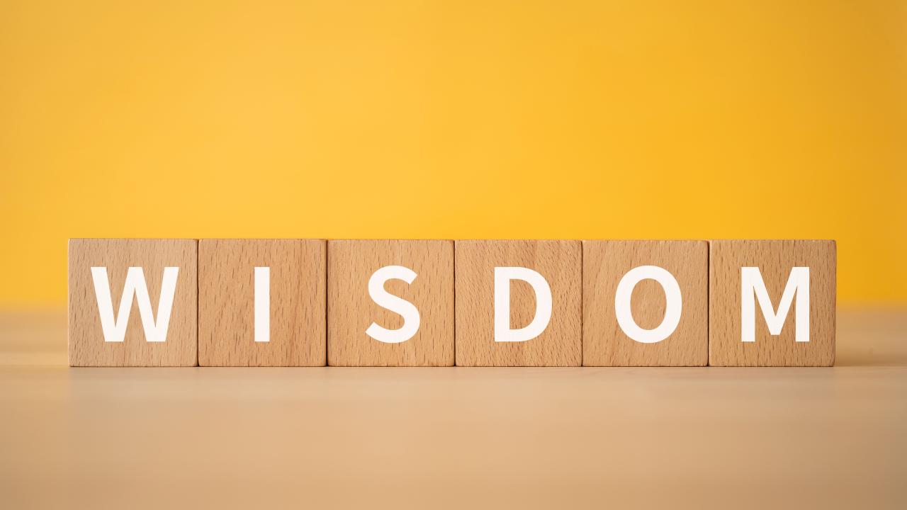 Wooden blocks that spell "Wisdom"