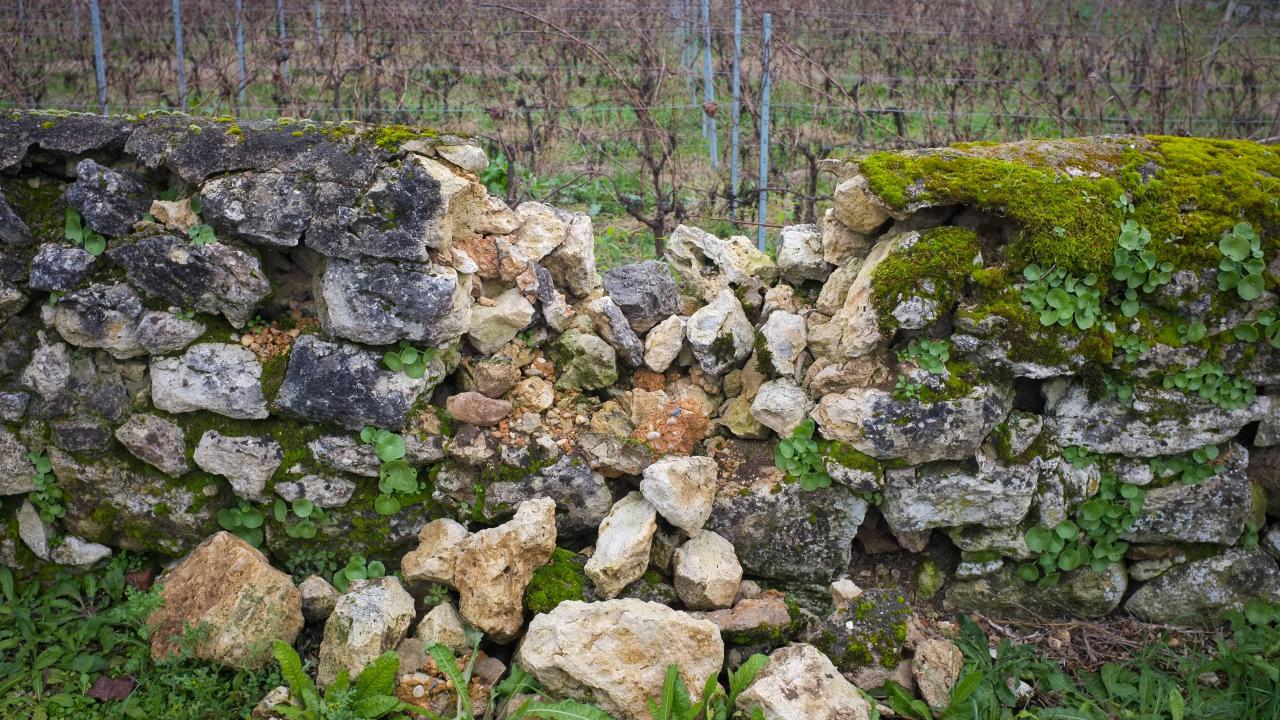 Rock wall, crumbling in the middle with vineyard in background
