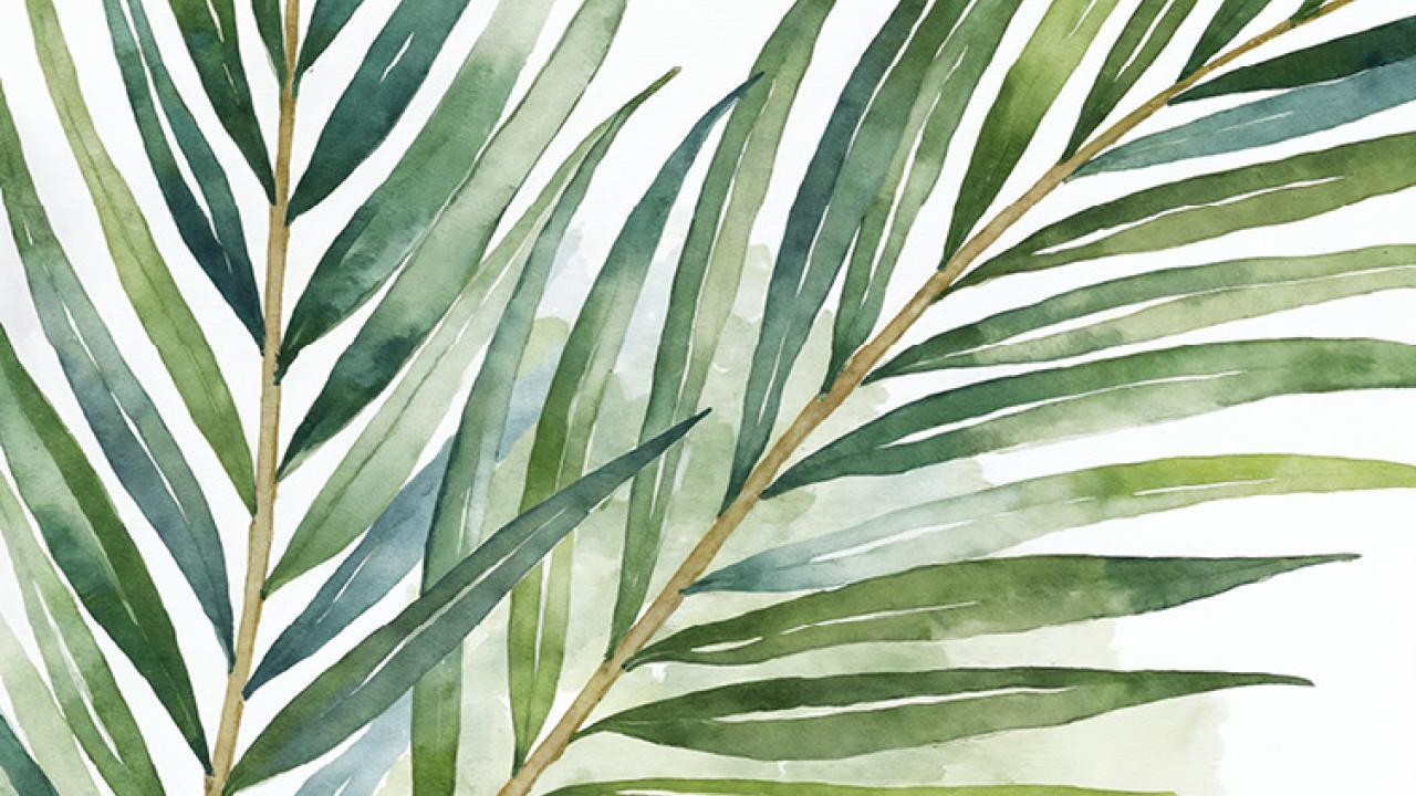Palm branches