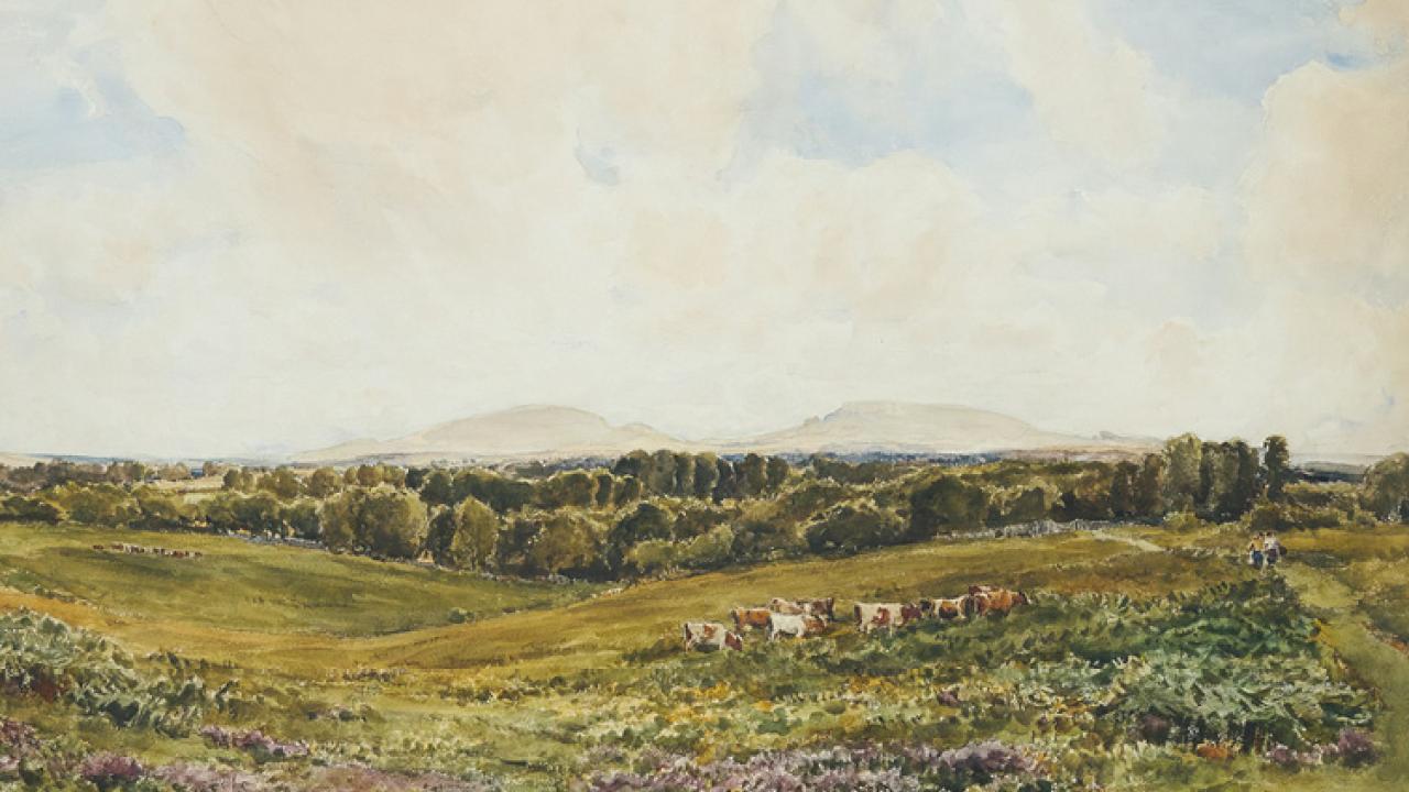 Beautiful pasture painting