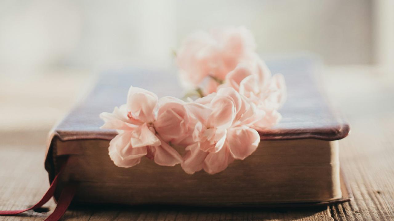 Bible with flowers on it