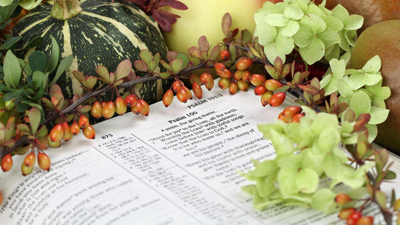Psalm 100 open bible