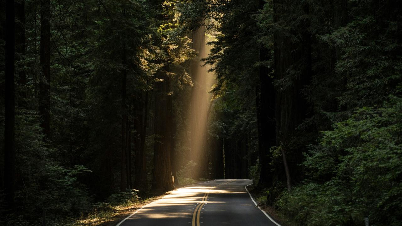 Sunlight on road