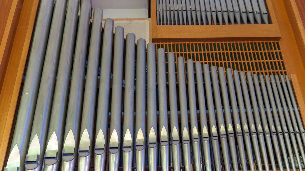 Organ Pipes