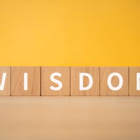 Wooden blocks that spell "Wisdom"