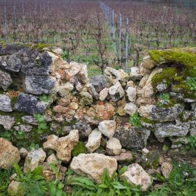 Rock wall, crumbling in the middle with vineyard in background