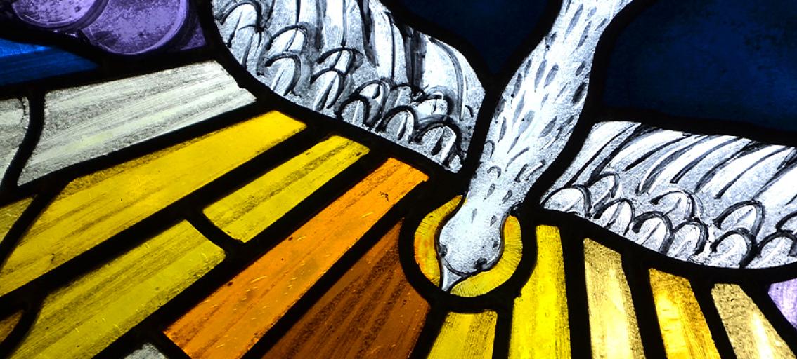 Pentecost dove