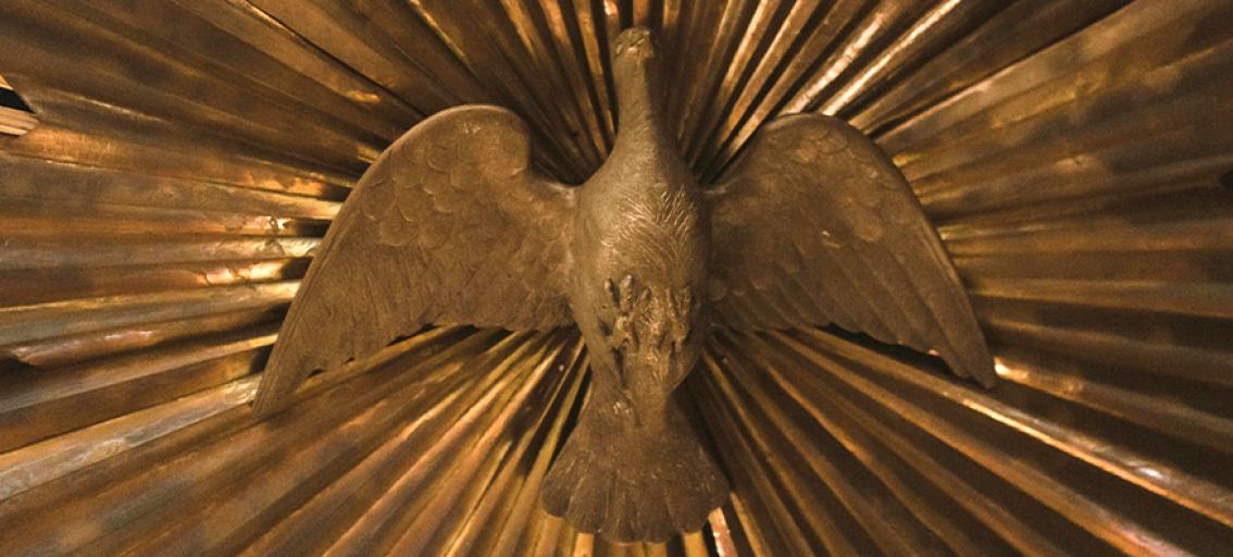 gold-colored metal ornemental dove