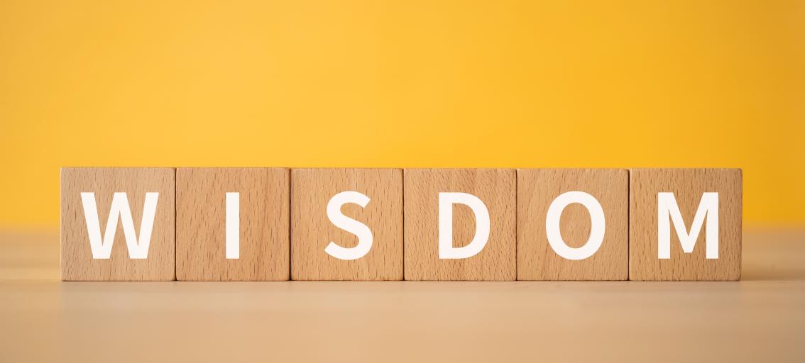 Wooden blocks that spell "Wisdom"
