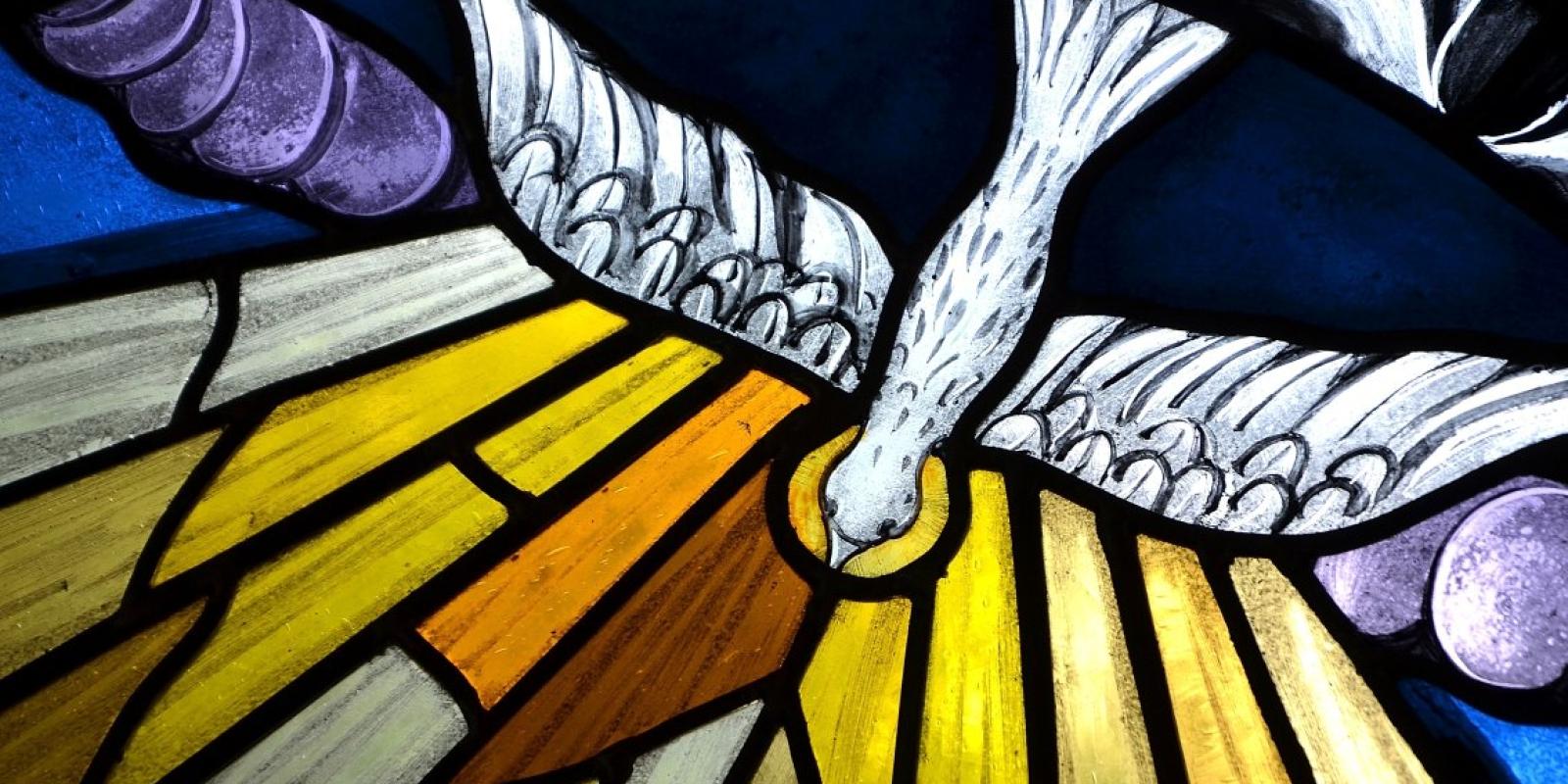 Stained glass with dove
