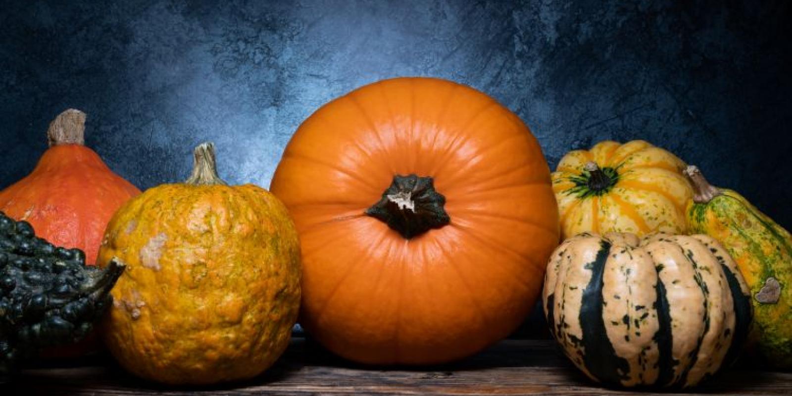 pumpkins