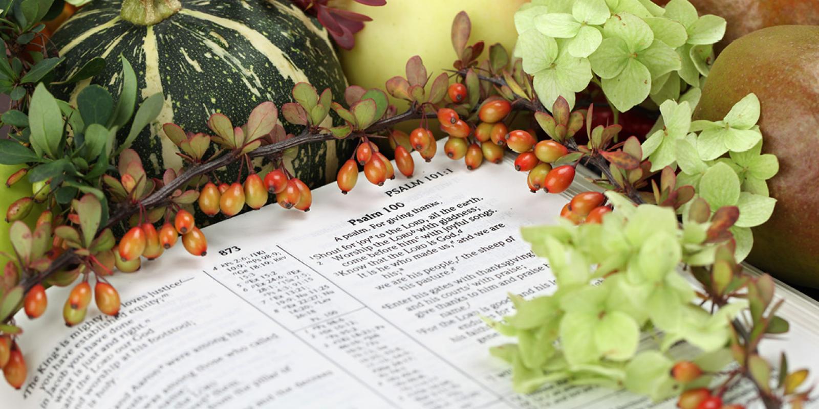 Psalm 100 open bible